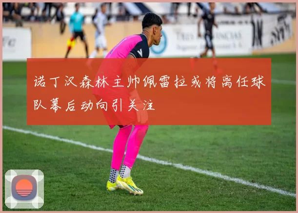诺丁汉森林主帅佩雷拉或将离任球队幕后动向引关注